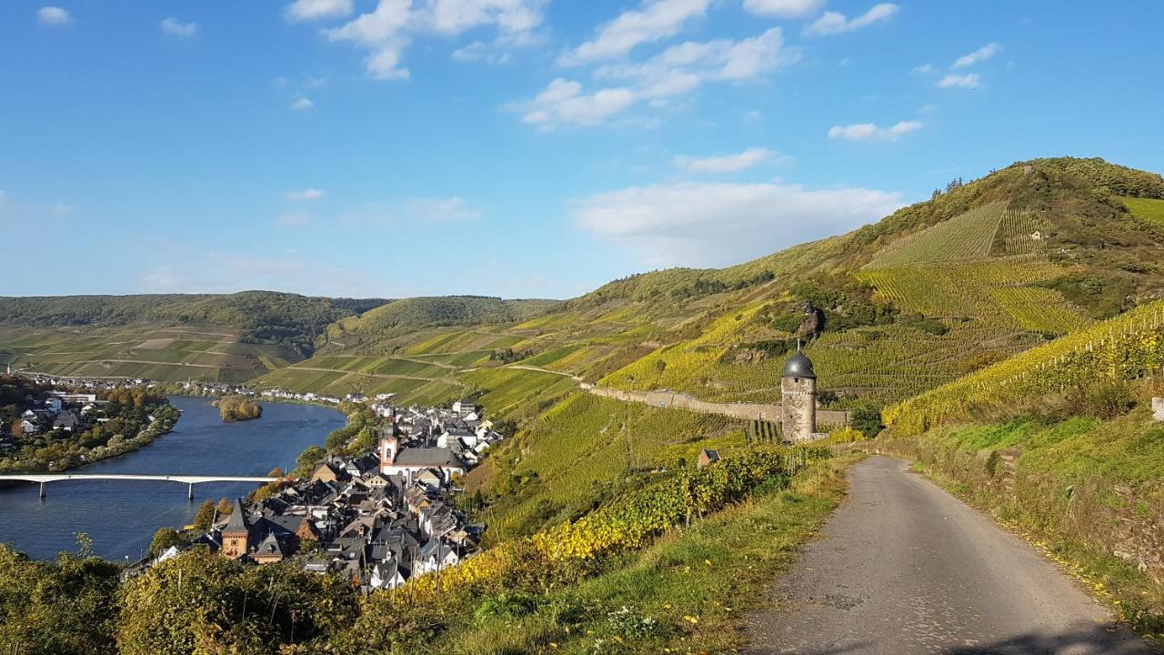 Ferienwohnung Roter Riesling Zell Eksteriør billede