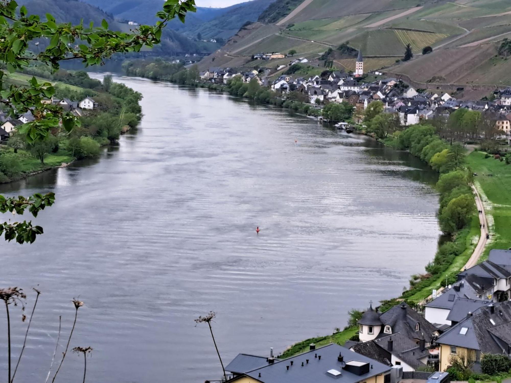 Ferienwohnung Roter Riesling Zell Eksteriør billede